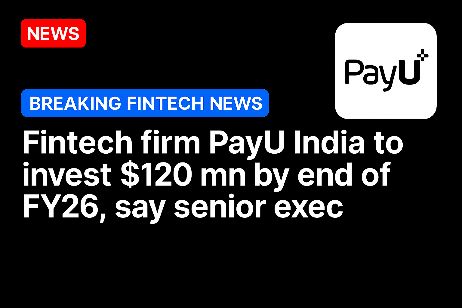 Fintech firm PayU India to invest $120 mn by end of FY26, say senior exec
