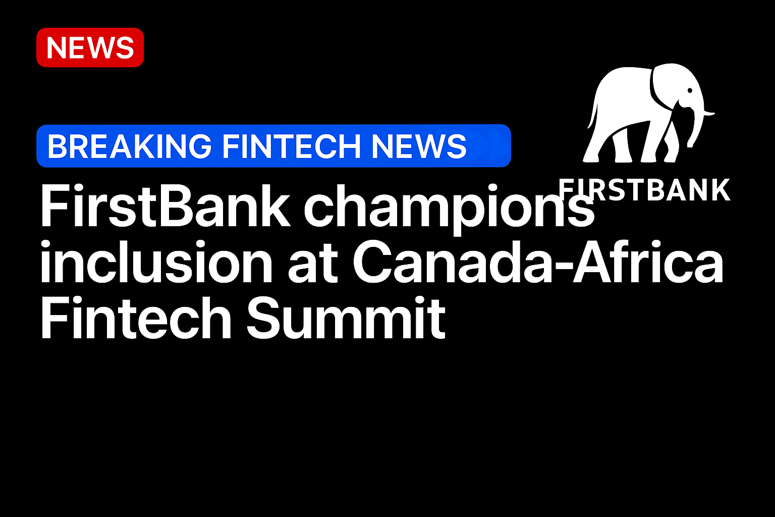 FirstBank champions inclusion at Canada-Africa fintech summit